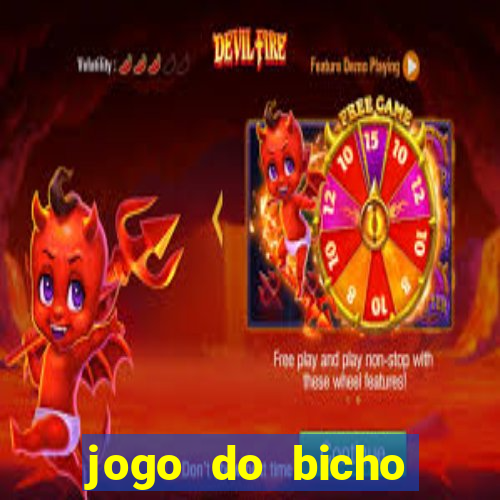 jogo do bicho crash bingo